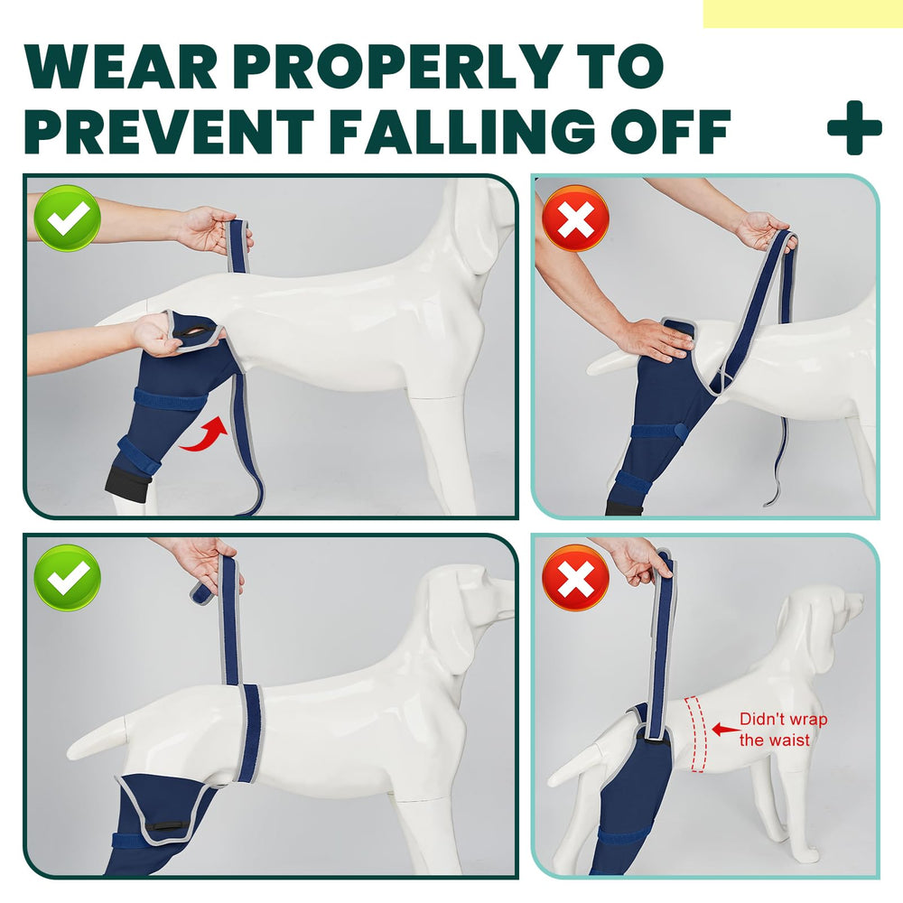 Joypig sleeve supports dogs through daily routines without restricting movement.