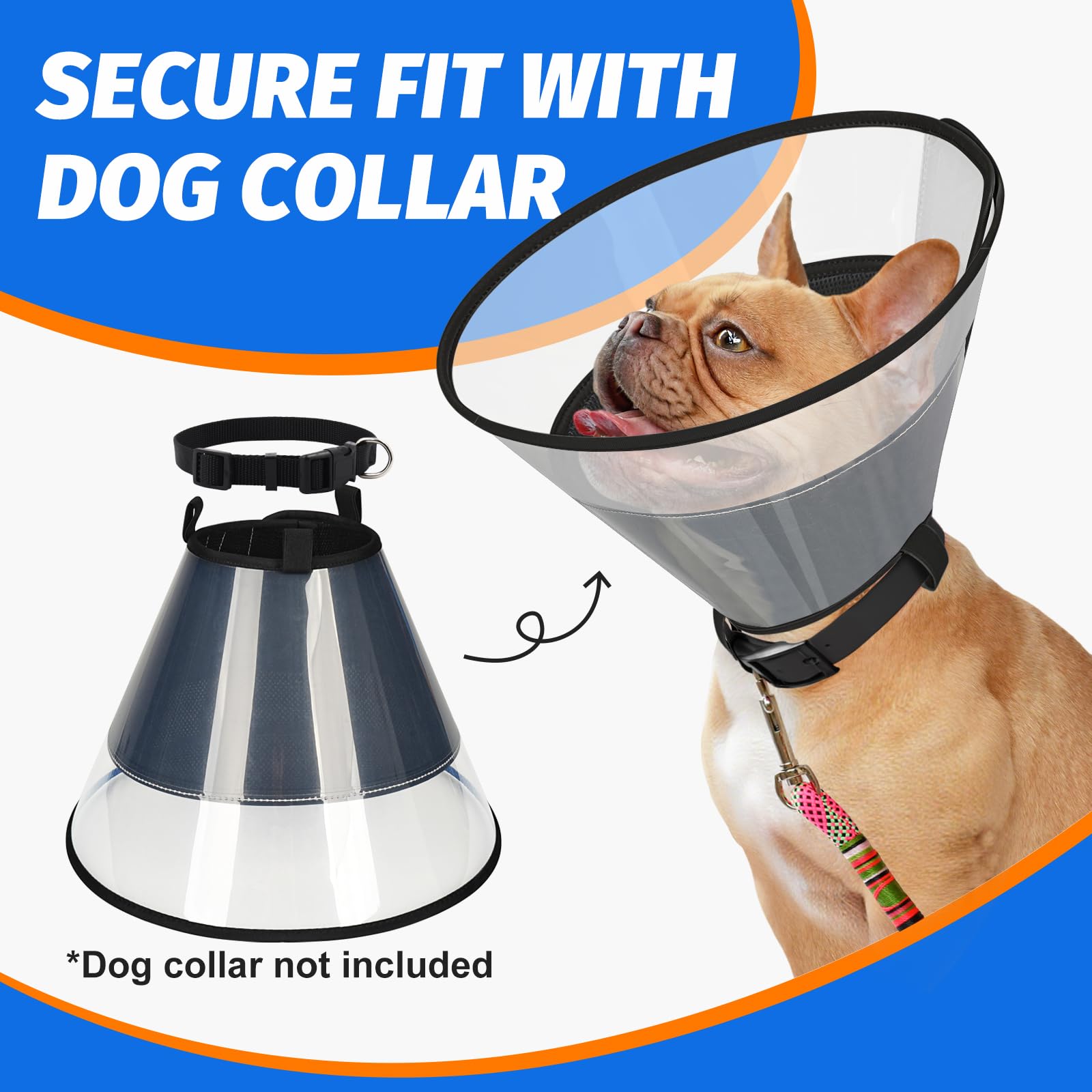 Joypig small-dog cone usage scene shows comfortable protection during recovery.