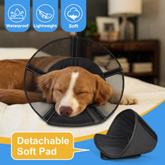 Joypig recovery collar coverage demonstrates wider protection during the healing process at home.
