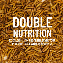 Joyprotyn BSFL 43-percent-protein label emphasizes protein-rich nutrition for growth.