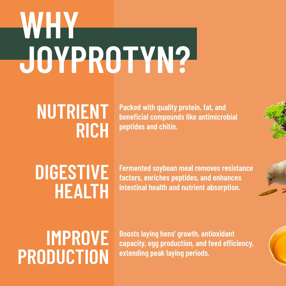 Joyprotyn BSFL egg-shell-strength image highlights egg production support with extra calcium.