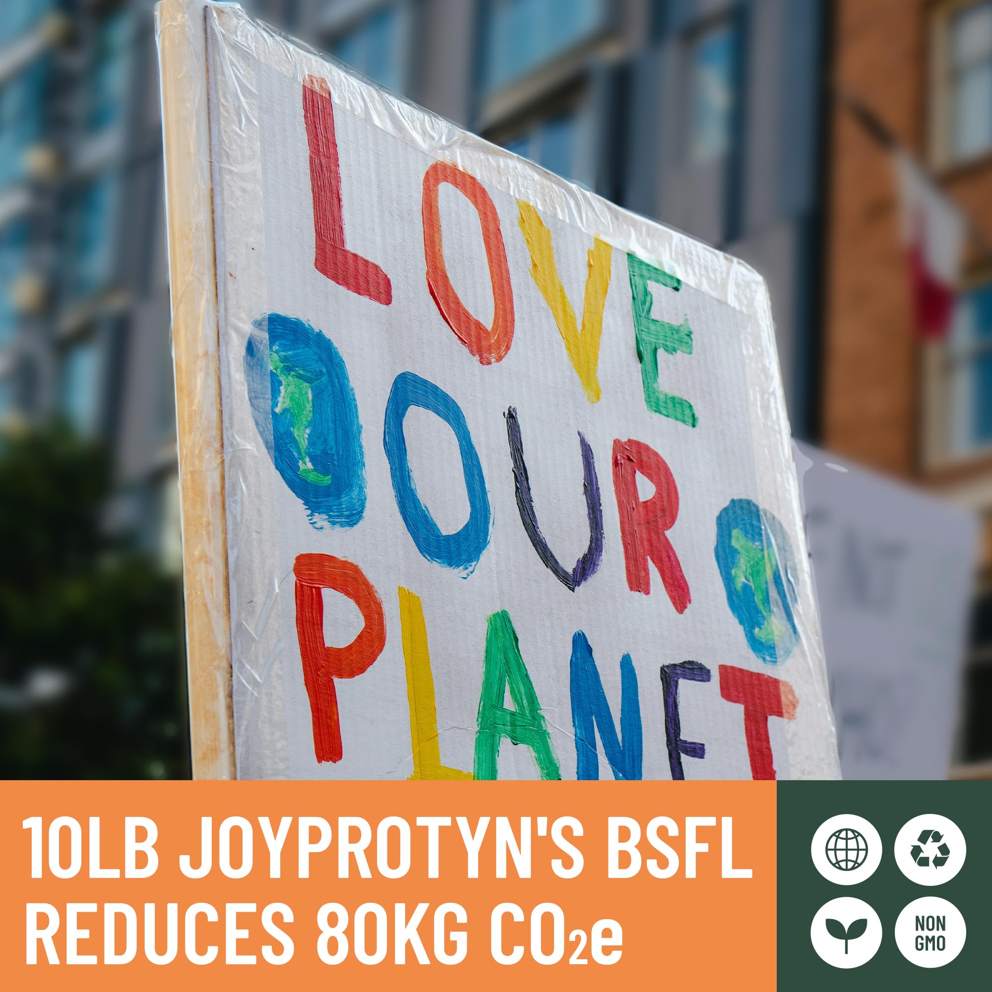 Joyprotyn BSFL powder used across chickens, ducks, and birds