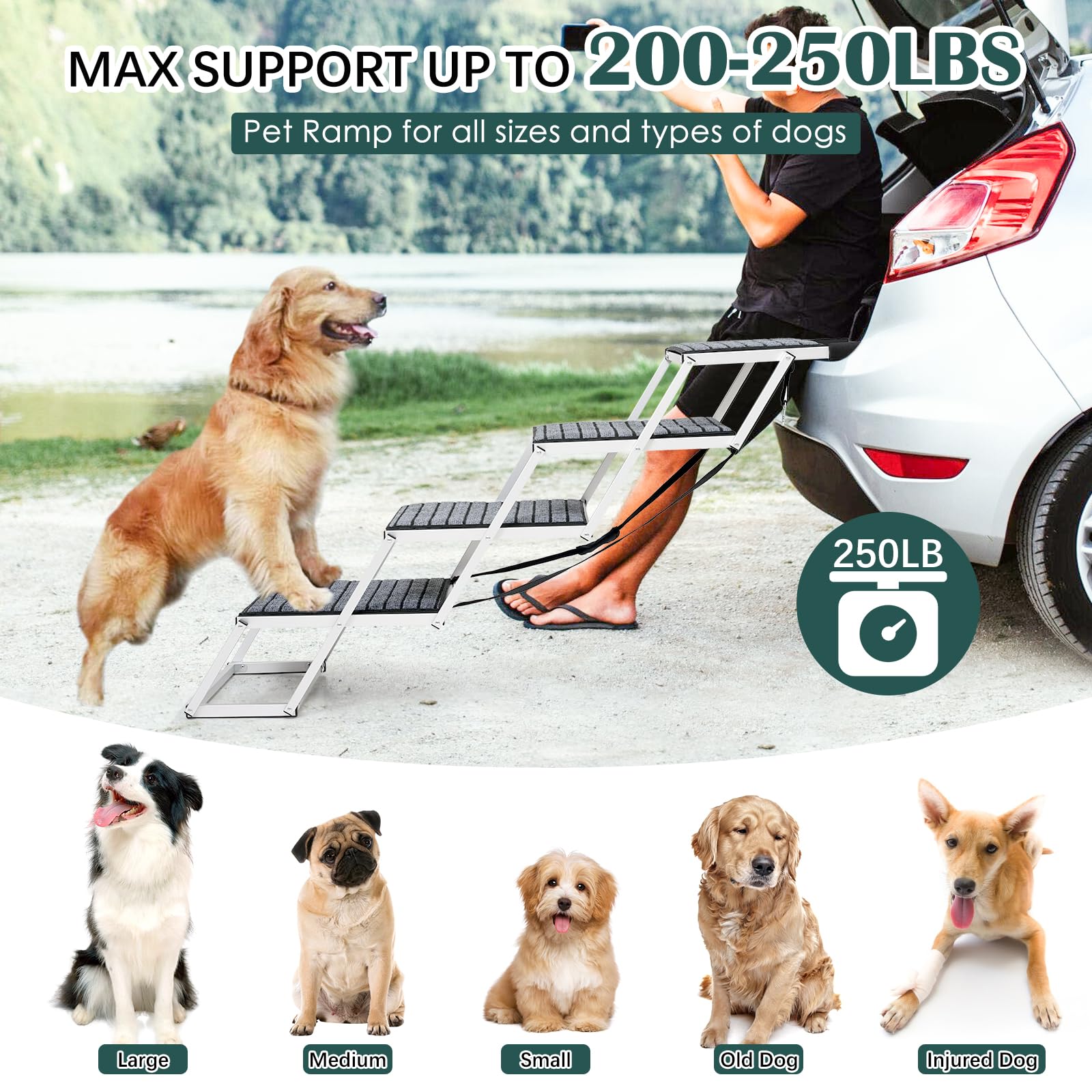 Joyrally dog ramp aluminum frame delivers lightweight strength for travel.