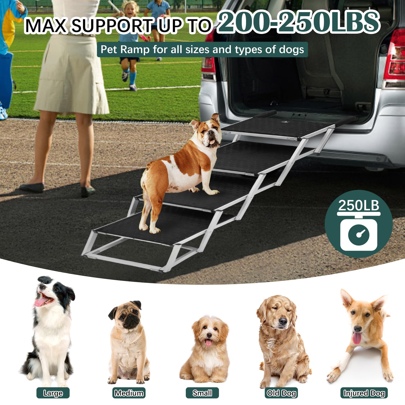 Joyrally two-angle adjustable steps for versatile use