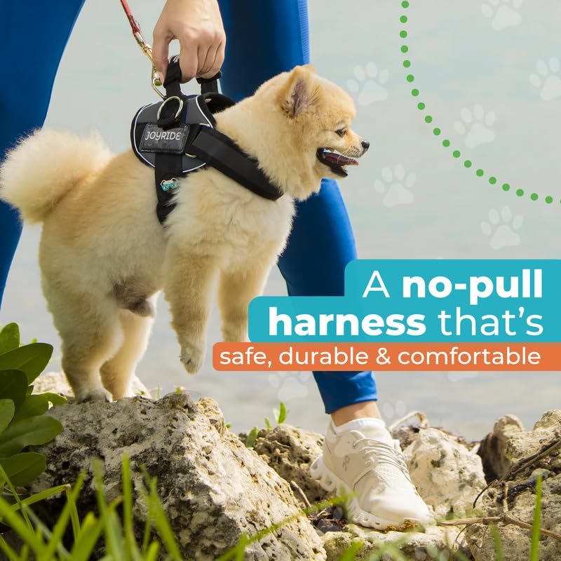Joyride Harness 2.0 adjustable straps close-up shows customizable fit across breeds.