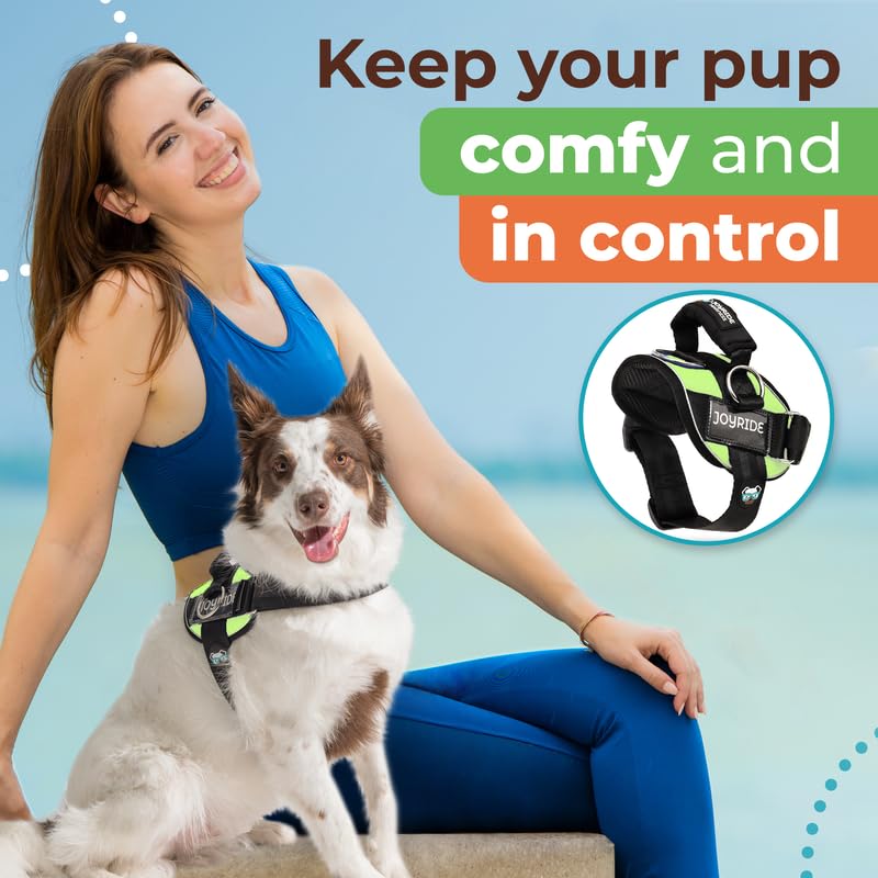 Joyride Harness 2.0 customizable-name-tags adds personality and safety during walks.