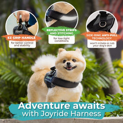 Joyride Harness 2.0 durable buckle close-up indicates long-lasting daily reliability.