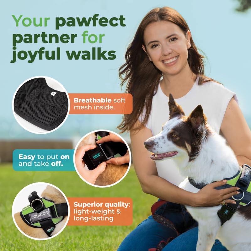 Joyride Harness 2.0 emergency-safety-handle provides instant control when needed.