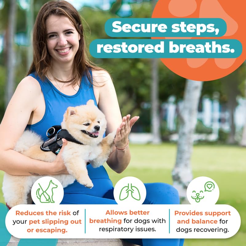 Joyride Harness 2.0 emergency safety handle offers quick control when needed.