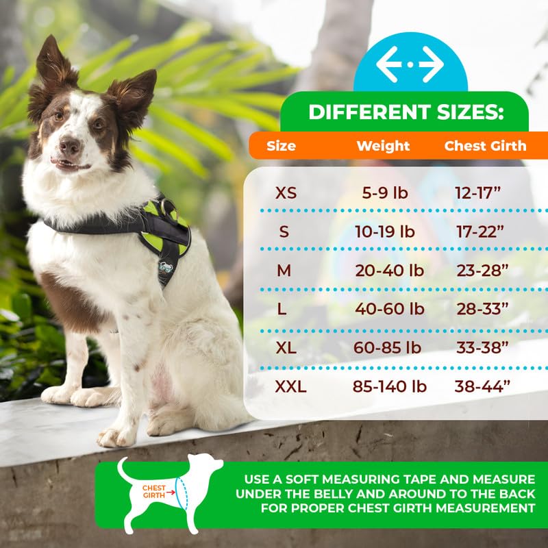 Joyride Harness 2.0 escape-proof design keeps dogs close and controlled during outdoor adventures.