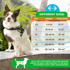 Joyride Harness 2.0 escape-proof design keeps dogs close and controlled during outdoor adventures.