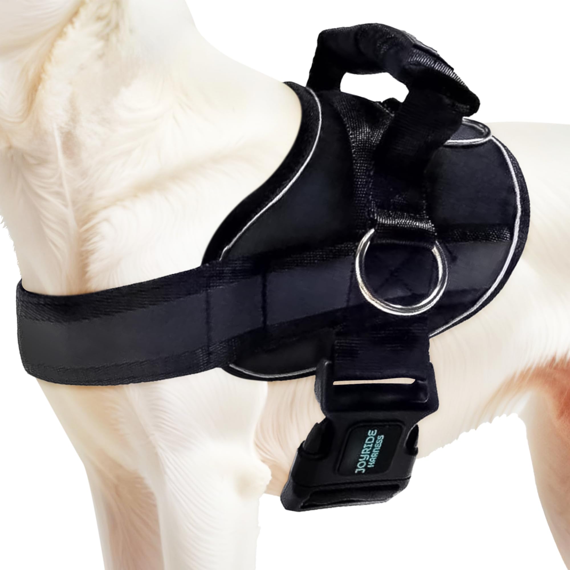 Joyride Harness 2.0 front view highlights no-pull control for calm walks.