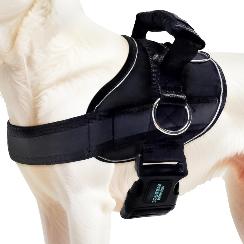 Joyride Harness 2.0 front view highlights no-pull control for calm walks.