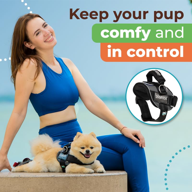 Joyride Harness 2.0 name tags display adds style and safety on walks.