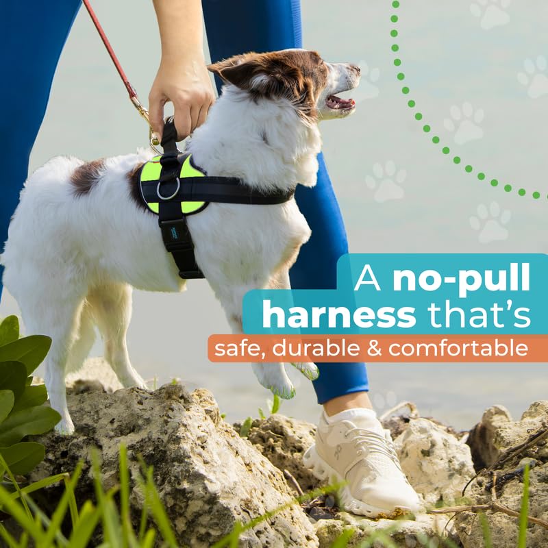 Joyride Harness 2.0 pressure-release-technology distributes pressure for comfortable training sessions.