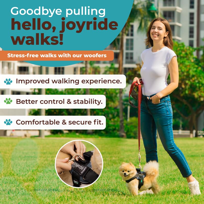 Joyride Harness 2.0 reflective stitching increases visibility during night walks.