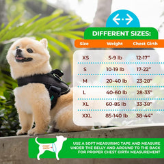 Joyride Harness 2.0 side ring attachment shows escape-proof design for confident walks.