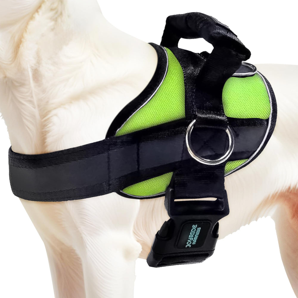 Joyride Harness 2.0 side-ring no-pull in action helps steady walks with less tugging.