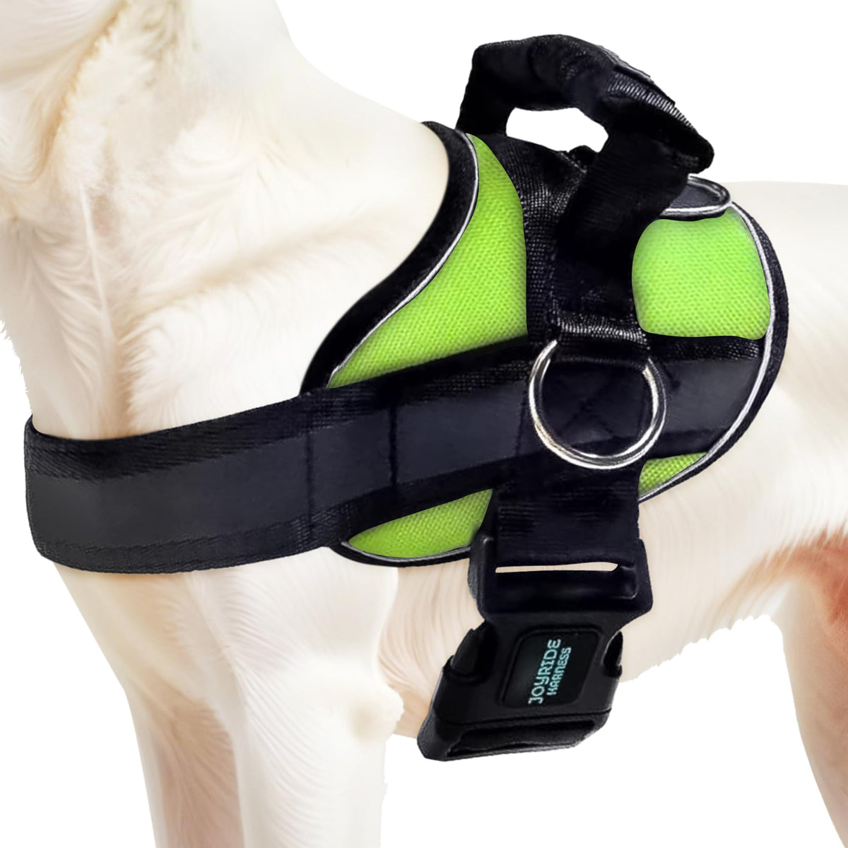 Joyride Harness 2.0 side-ring no-pull in action helps steady walks with less tugging.