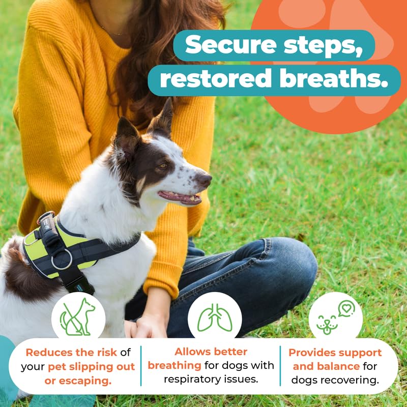 Joyride Harness 2.0 size-guide-in-images helps choose the perfect fit.