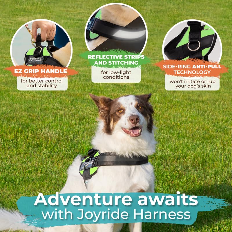 Joyride Harness 2.0 with three leash clips offers versatile training and walking setups.