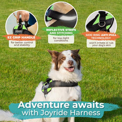 Joyride Harness 2.0 with three leash clips offers versatile training and walking setups.