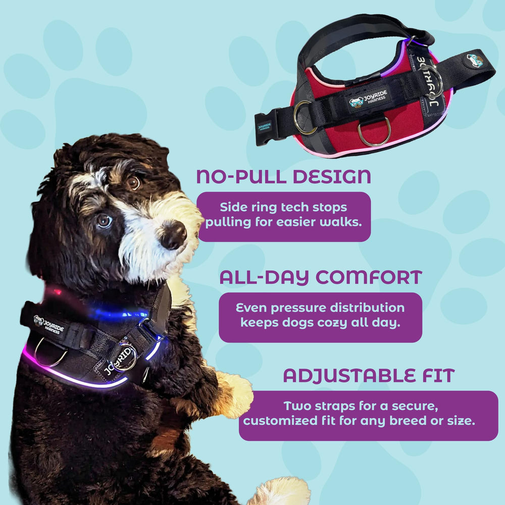 Joyride Harness 2.0 fast flash mode increases alertness for busy sidewalks