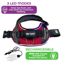 Joyride Harness 2.0 charging battery demonstrates rechargeable lighting