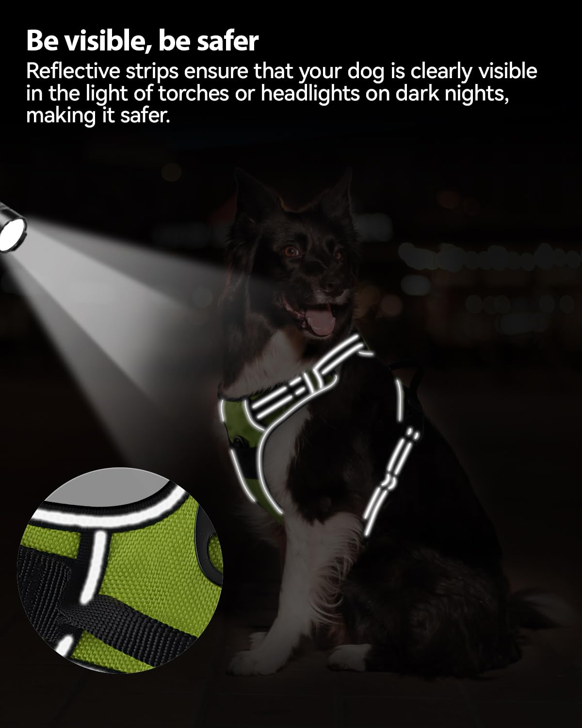 Joytale 4 point adjustable design fits growing or mixed breeds securely