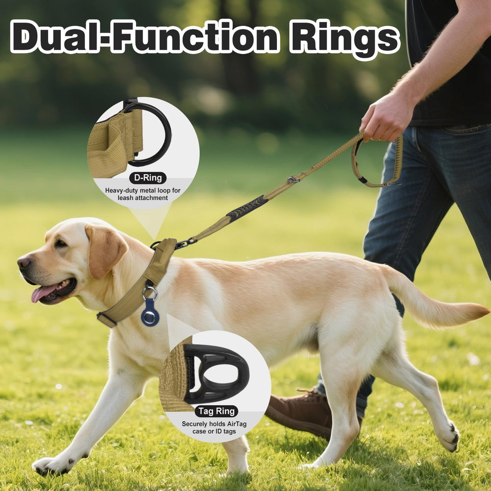 Joytale adjustable dog collar with dual rings for secure leash options