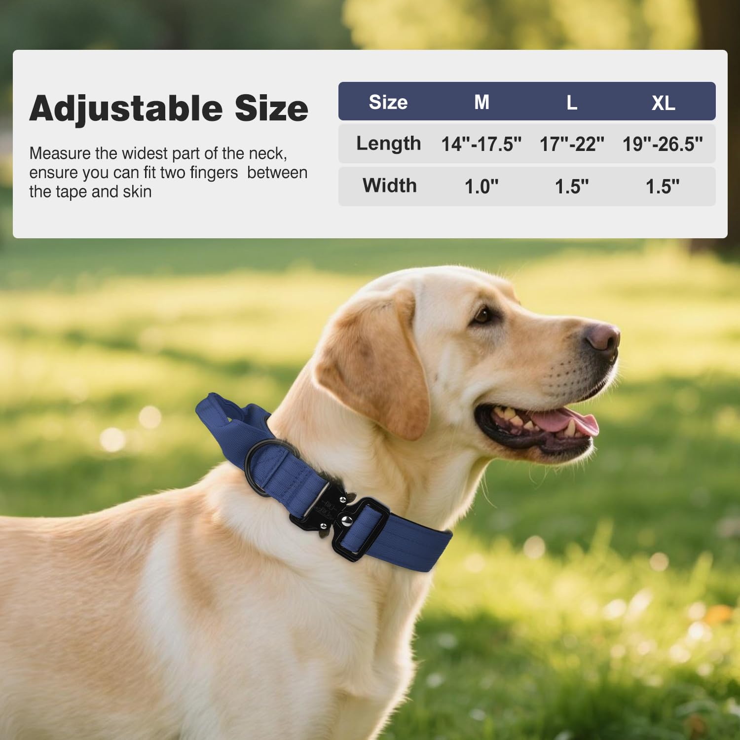 Joytale adjustable nylon strap fits growing dogs for versatile, long-lasting wear.