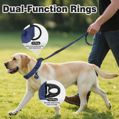 Joytale AirTag collar holder highlights secure tracking without sacrificing collar function.