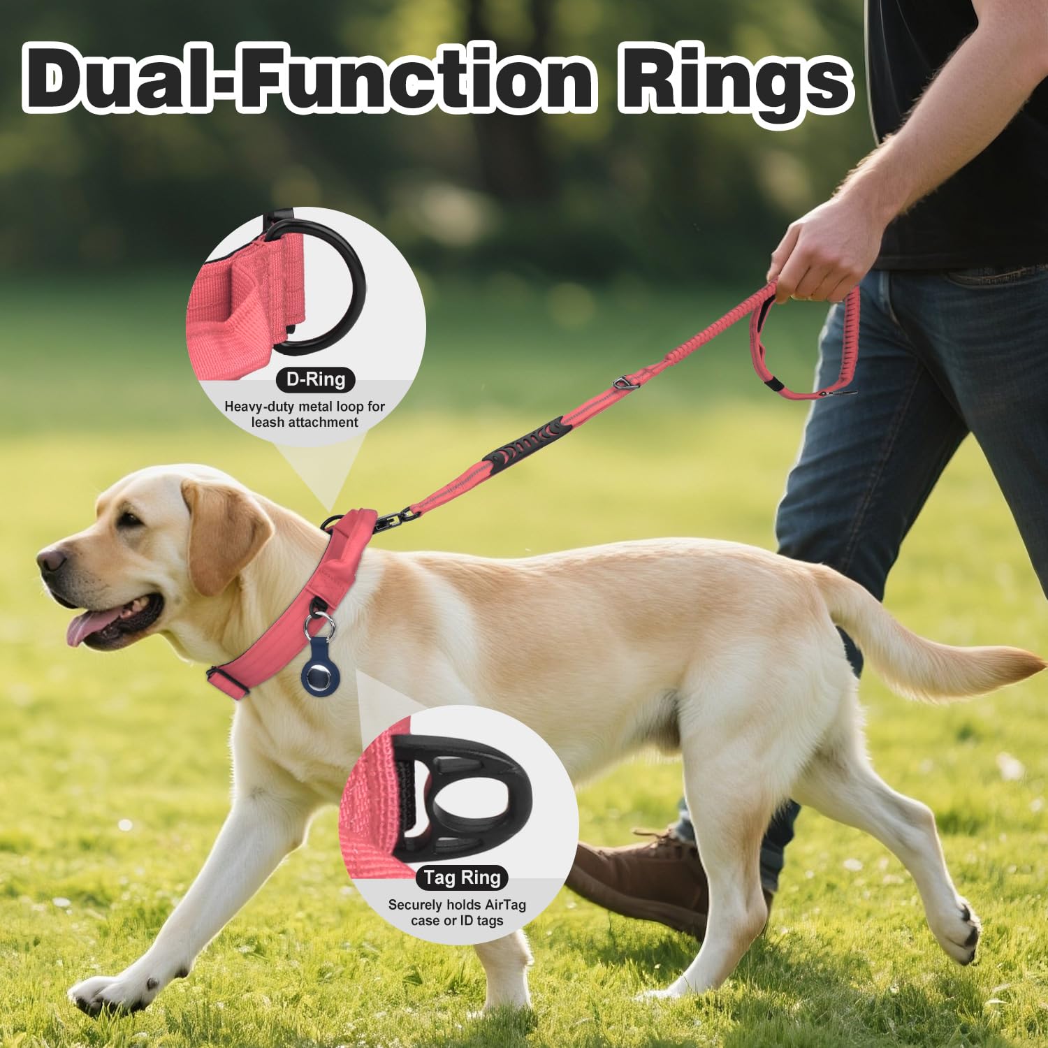 Joytale AirTag-equipped collar with case attached for reliable pet tracking.