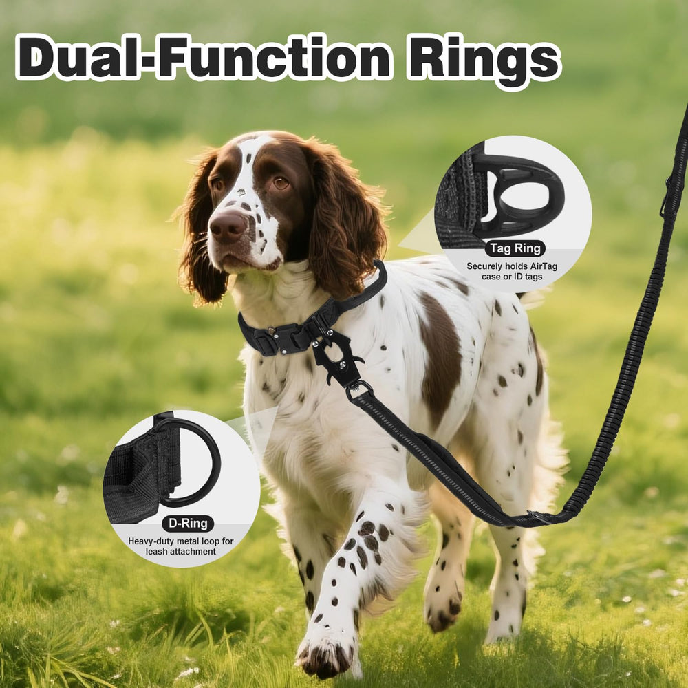 Joytale AirTag case attached to dog collar for easy tracking.
