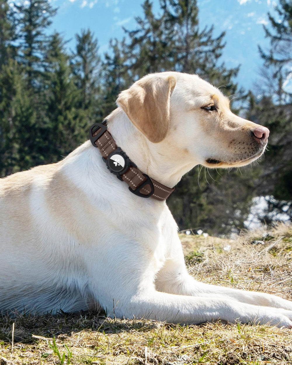Joytale Airtag dog collar ideal for walks and playtime safety