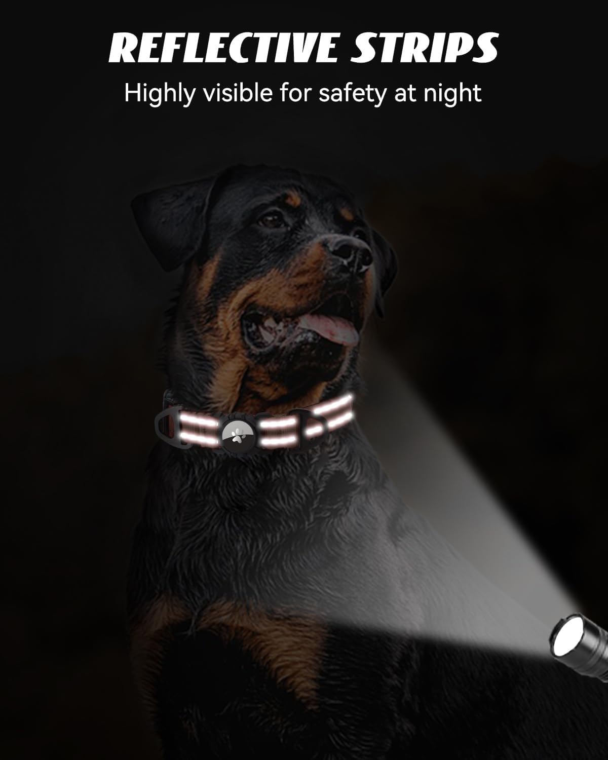 Joytale Airtag dog collar XL brown adjustable for large dogs