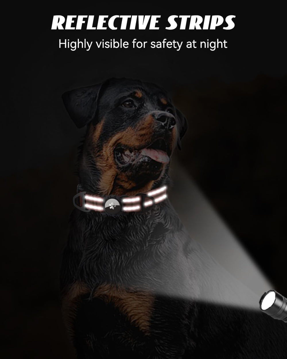 Joytale Airtag dog collar XL brown adjustable for large dogs