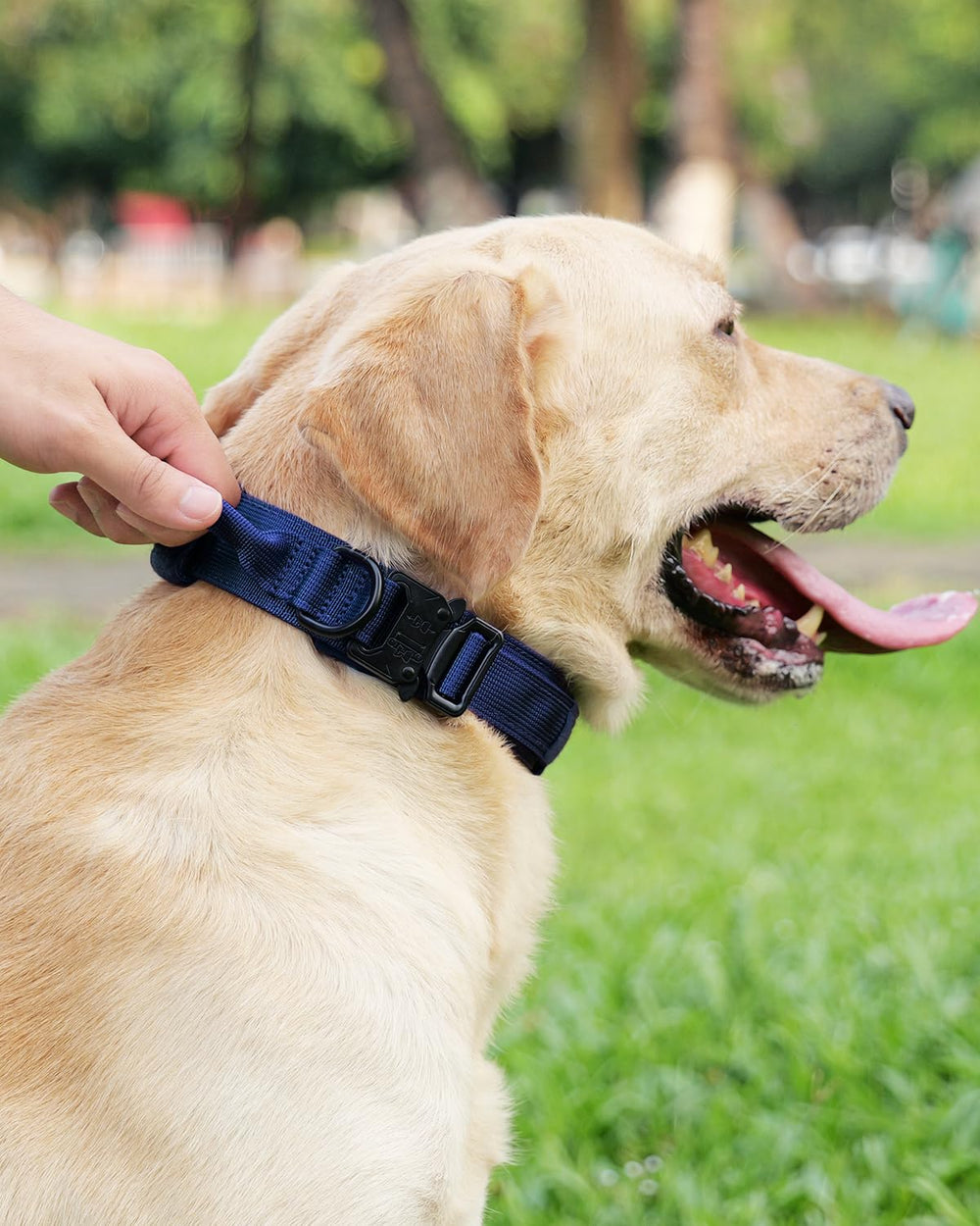 Joytale collar patches showcase American flag option for stylish identification