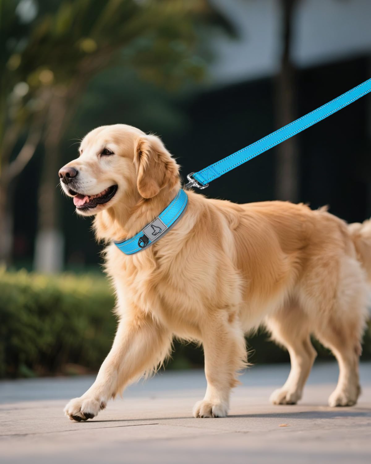 Collar Joytale extralargo con detalles de seguridad y estilo para mascotas.