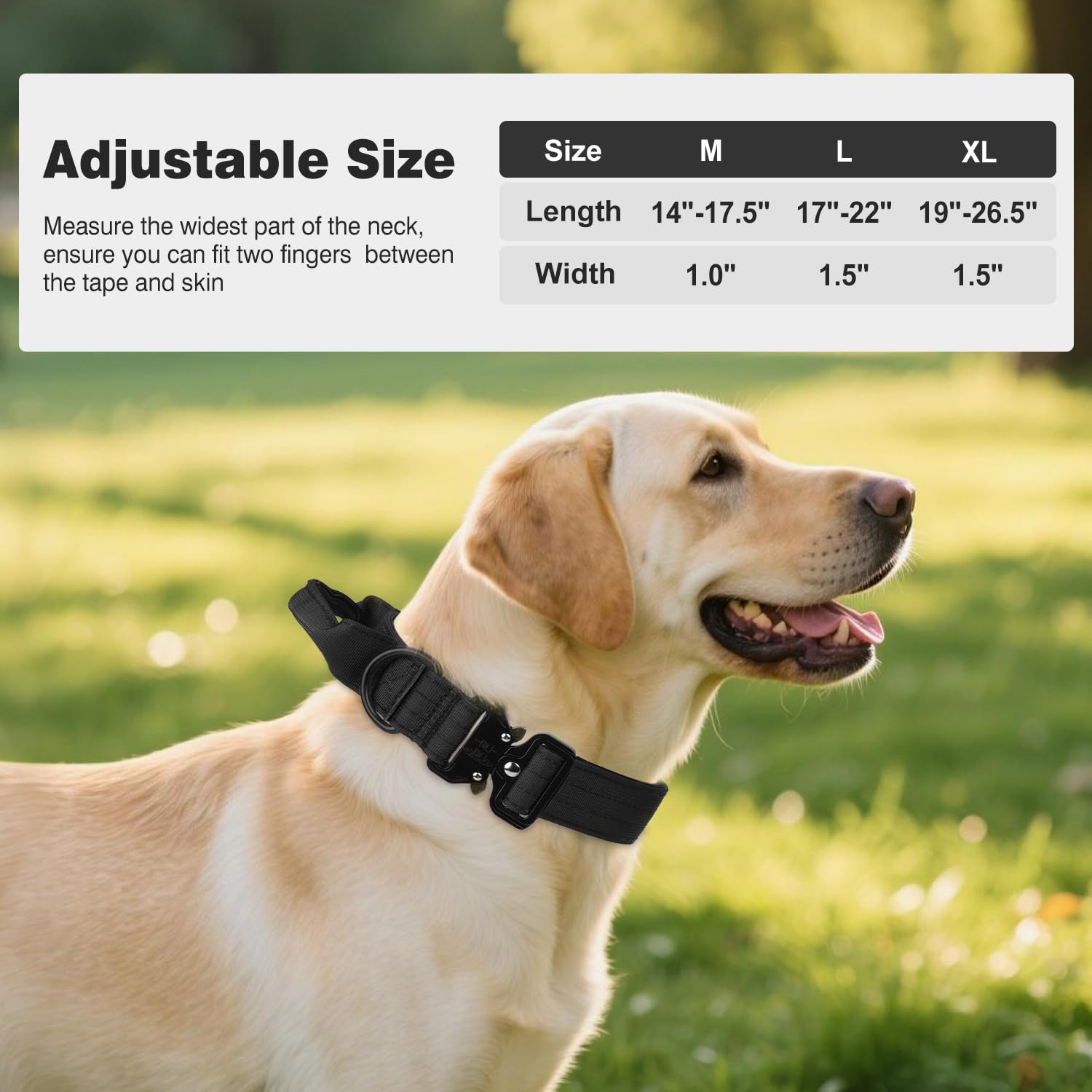 Joytale secure D-ring—reliable leash attachment during strong pulls.