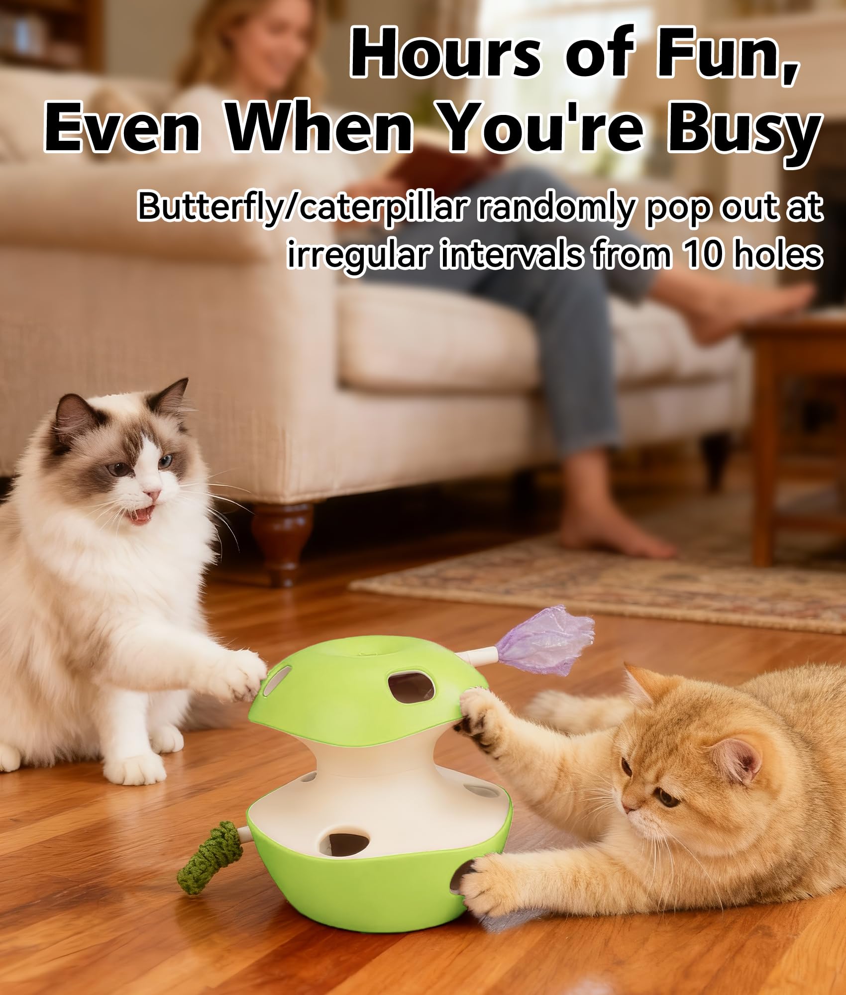Joytale detachable feather teaser offers versatile play options for enrichment.