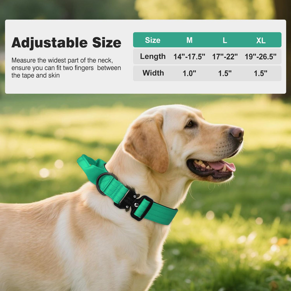 Joytale adjustable slider ensures growing puppies or varying neck sizes get comfortable fit.