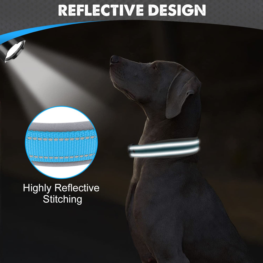Joytale collar includes a sturdy D-ring and tag loop.