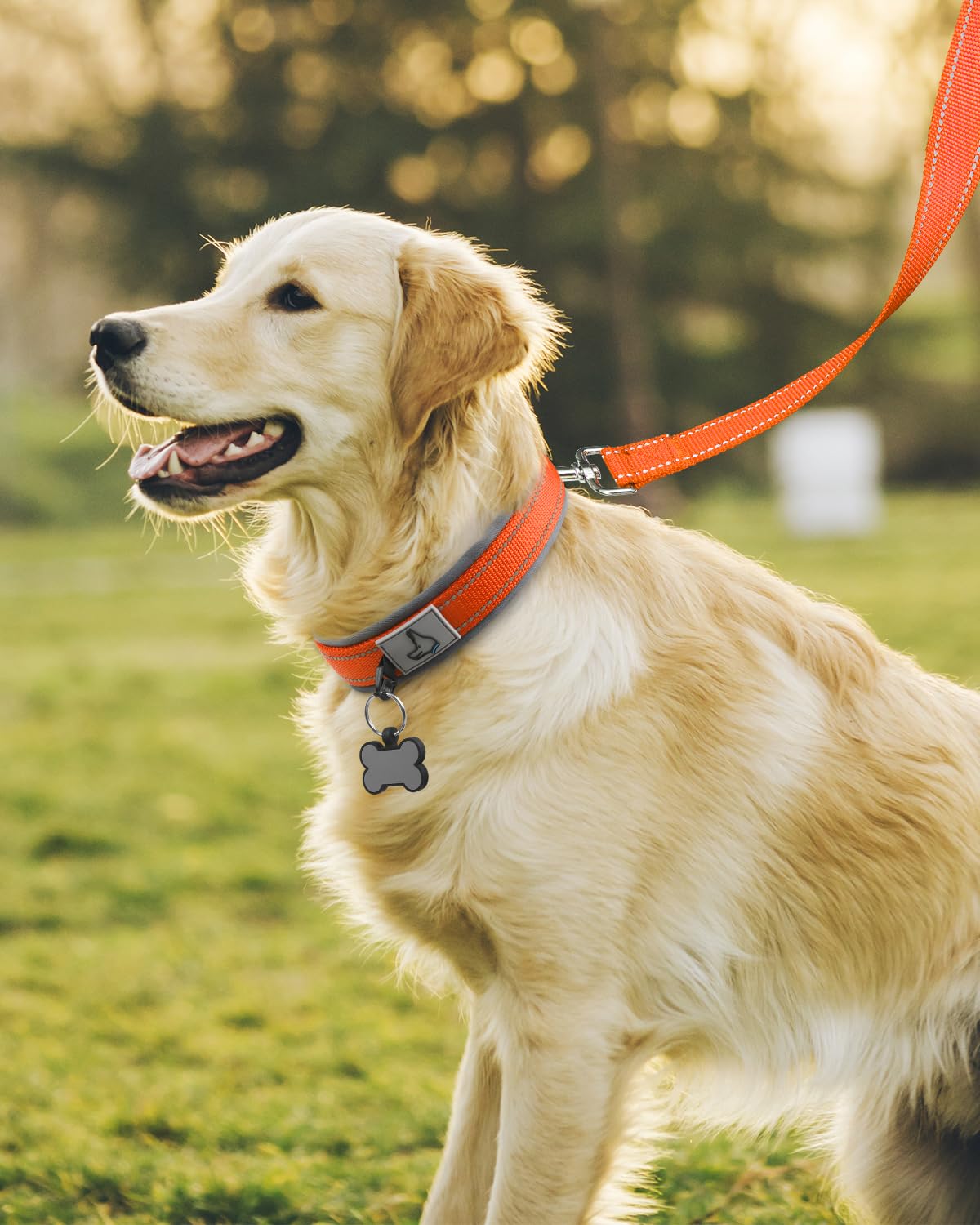Joytale large D-ring offers reliable leash attachment for strong pullers.