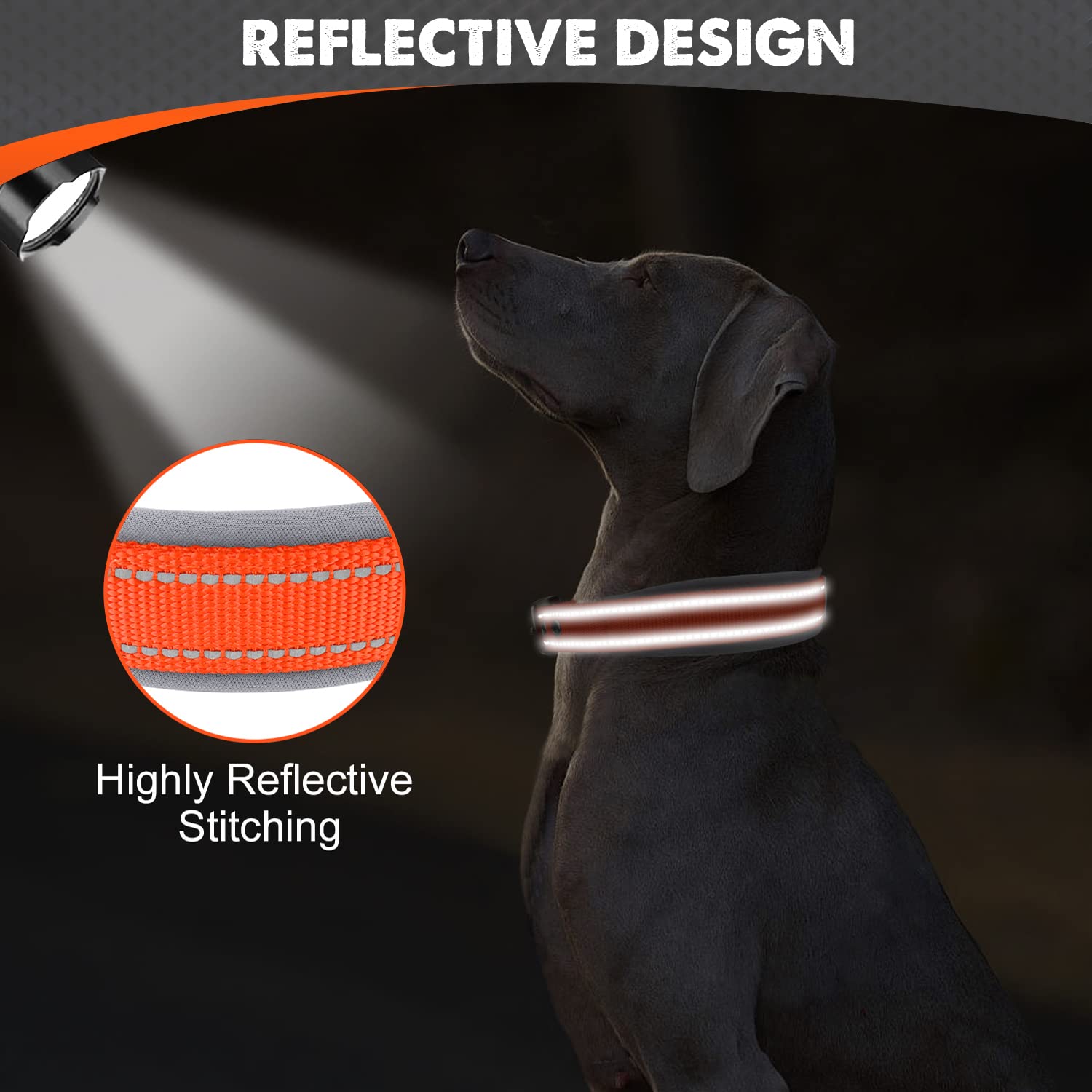 Joytale collar large metal buckle designed for secure, lightweight fit.