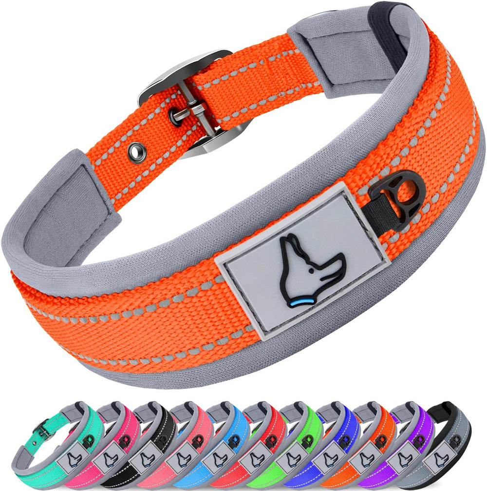 Joytale dog collar large neoprene padding provides soft comfort during daily walks.