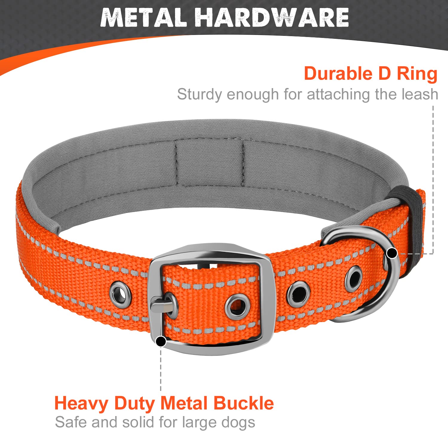 Joytale collar large tag loop keeps ID tags visible and accessible.