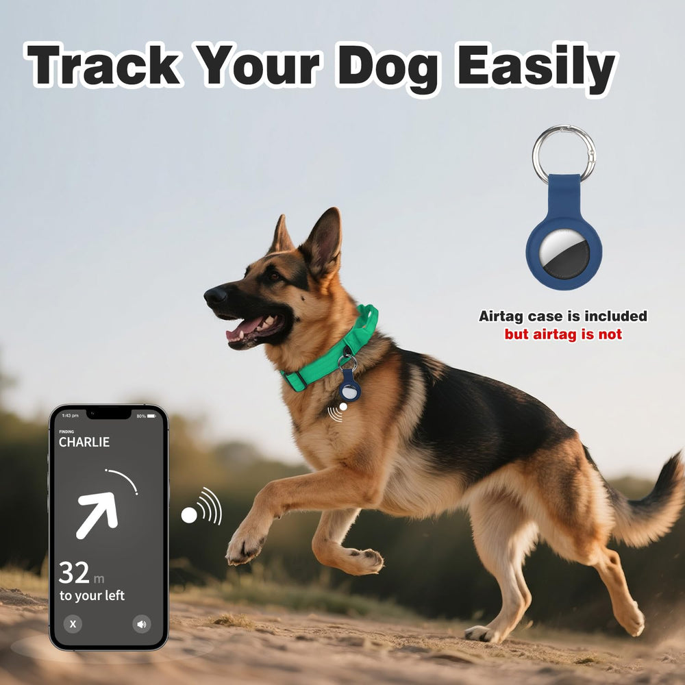 Joytale dog collar neoprene padding provides soft, comfortable neck contact during long walks.