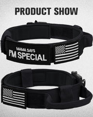 Joytale collar with patches included showcases personalization options for training confidence.