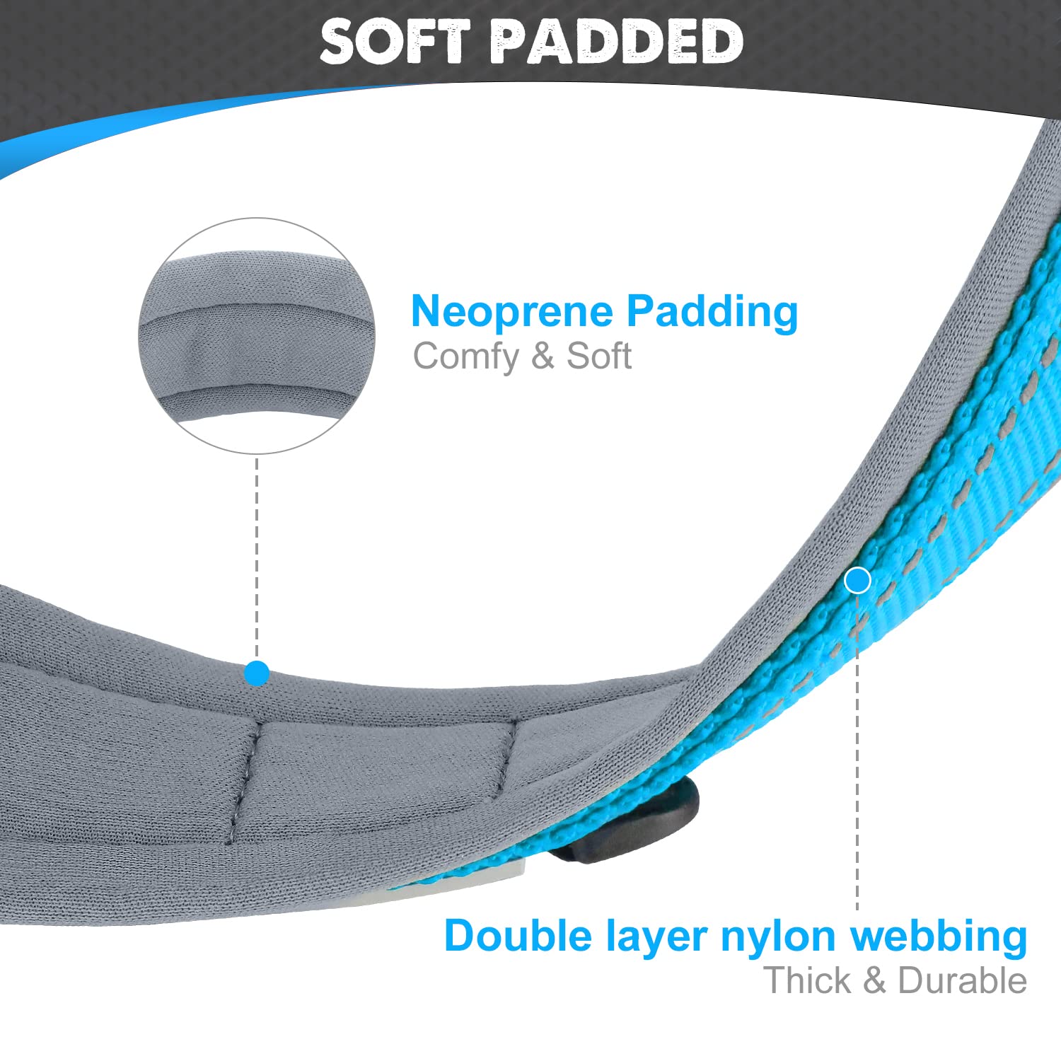 Joytale collar features reflective stitching for safer night-time visibility.
